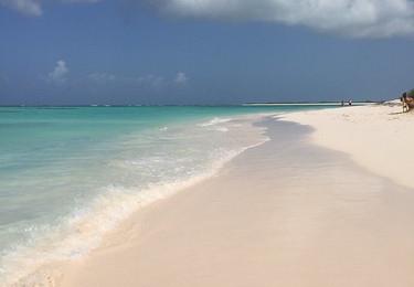 Sandee Anegada Reef Photo