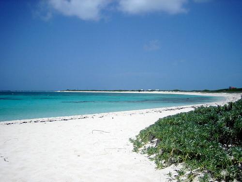 Sandee - Anegada Reef