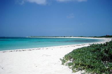 Sandee - Anegada Reef