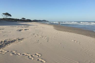 Sandee Spring Bay Beach Photo