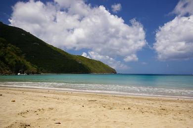 Sandee Brewers Bay Beach Photo