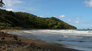 Sandee Pagua Beach Photo