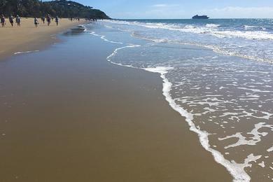 Sandee Douglas Bay Beach
