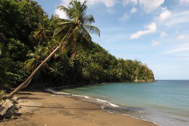 Sandee Toucari Bay Photo