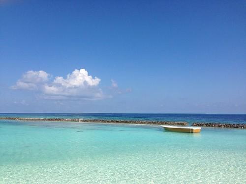 Sandee Lily Beach