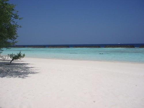Sandee Kurumba Beach