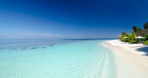 Sandee Kandolhu Island Beach