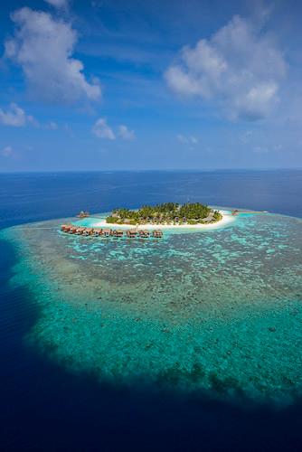 Sandee - Kandolhu Island Beach