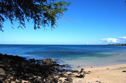 Sandee Archer Beach Photo