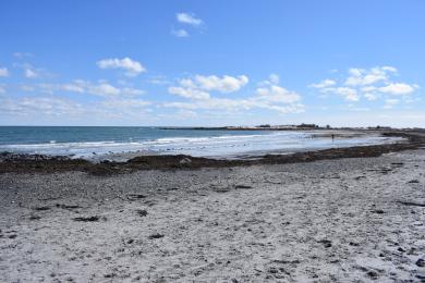 Sandee - Sea Point Beach