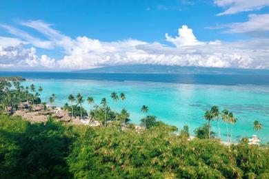 Sandee Moorea Activities Center - Opunohu Photo