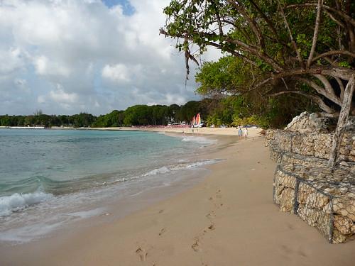 Sandee Sandy Lane Beach