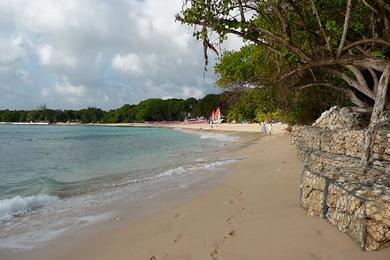 Sandee Sandy Lane Beach