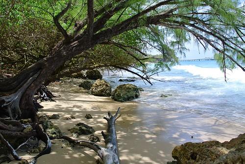 Sandee Maycocks Bay
