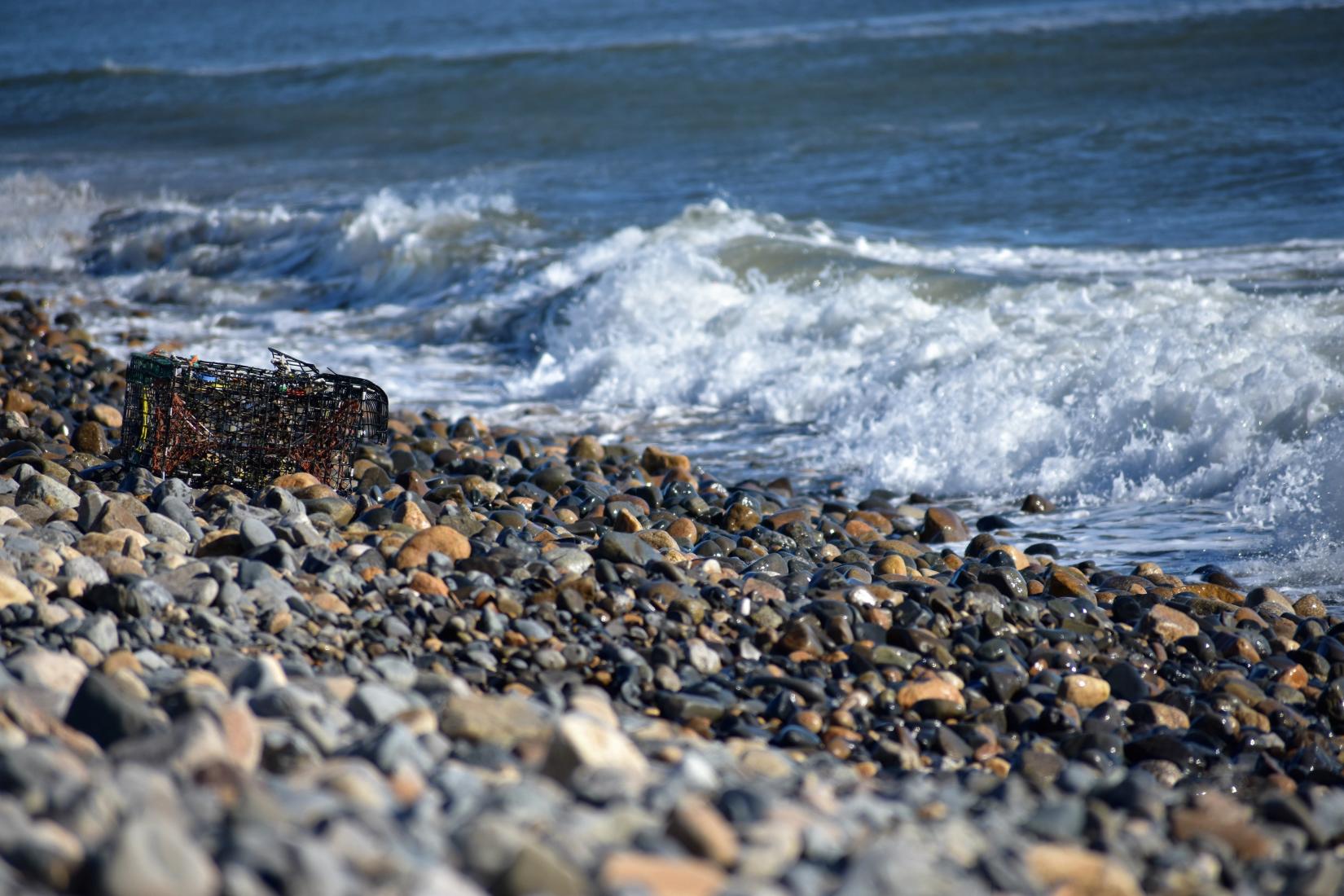 Sandee - Wells Beach