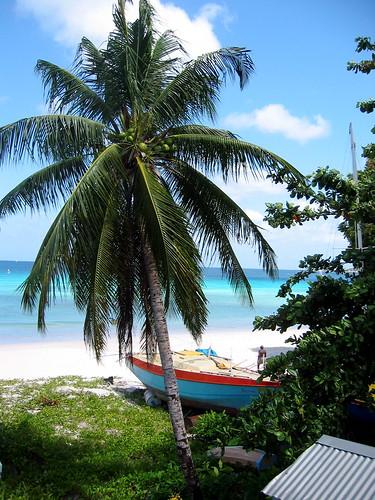 Sandee Bayshore Beach Photo