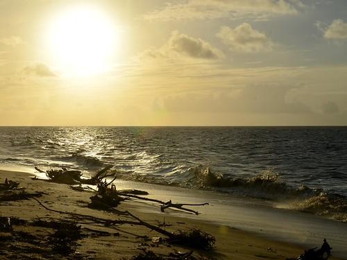 Sandee - Matapica Beach