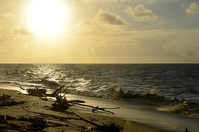 Sandee - Matapica Beach