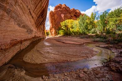 Sandee Glen Canyon National Recreation Area
