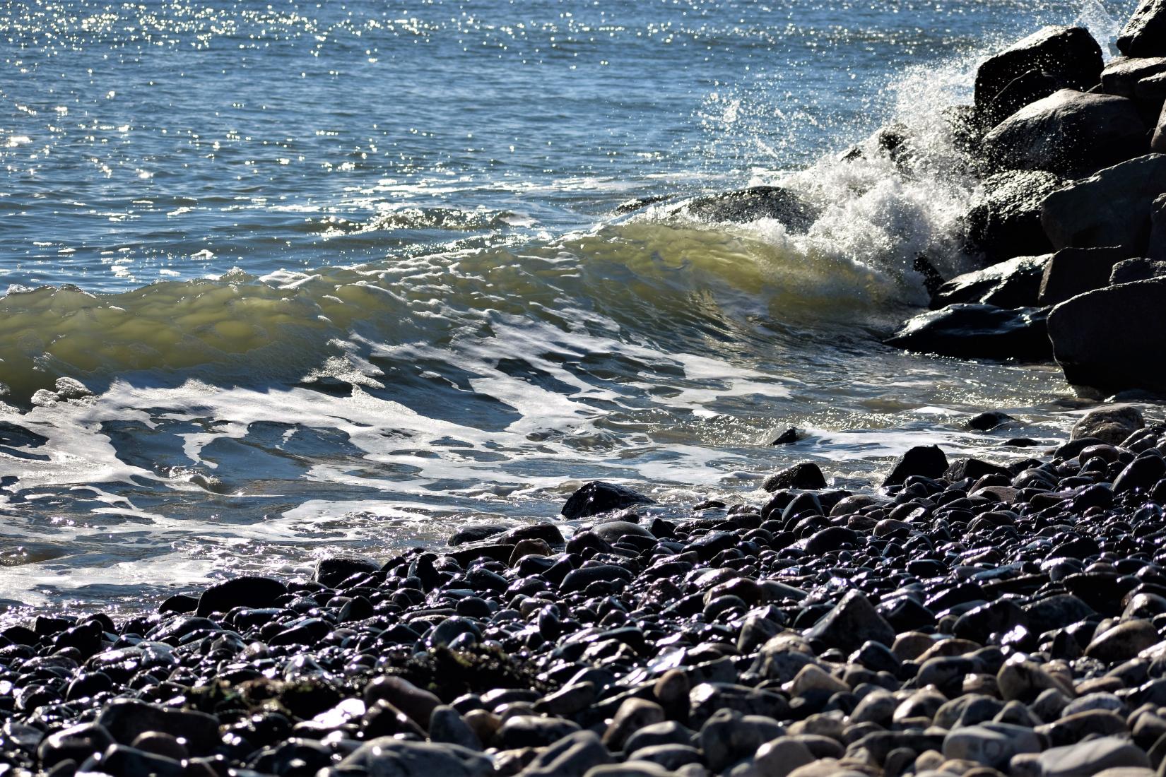 Sandee - Wells Beach