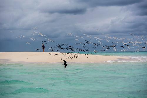 Sandee Water Cay