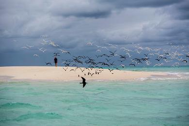 Sandee Water Cay Photo