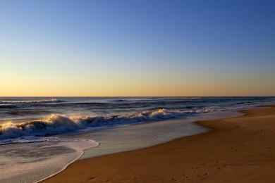 Sandee - Assateague State Park