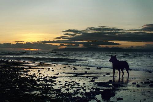 Sandee - Playa Pavones