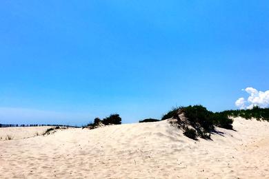 Sandee - Assateague State Park