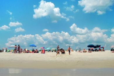 Sandee - Assateague State Park