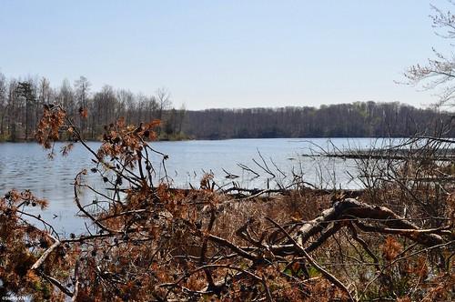 Sandee - Deam Lake State Recreation Area