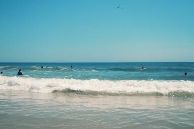 Sandee - Assateague State Park