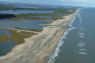 Sandee - Assateague State Park