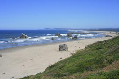 Sandee Forestry Beach Photo