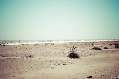 Sandee Savage Beach