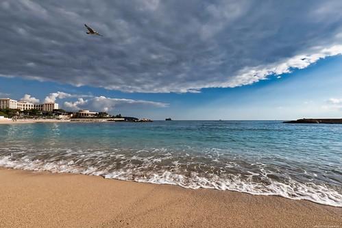 Sandee Plage Du Monaco