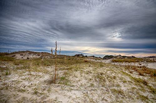 Sandee - Bare Sand Beach