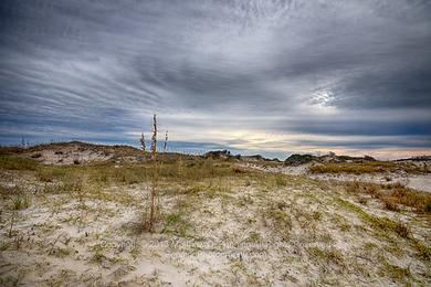 Sandee Bare Sand Beach Photo