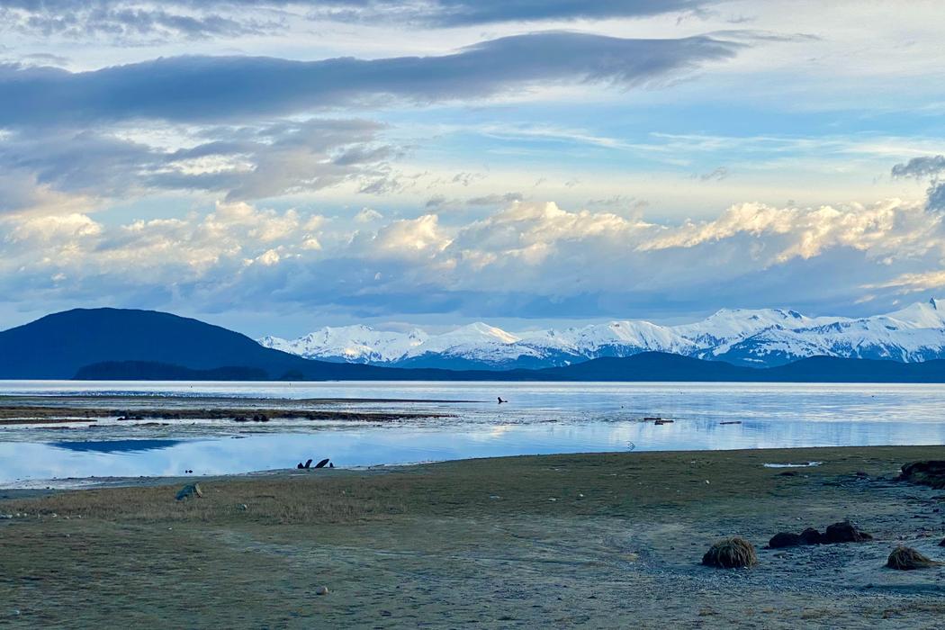 Sandee Kenai Beach