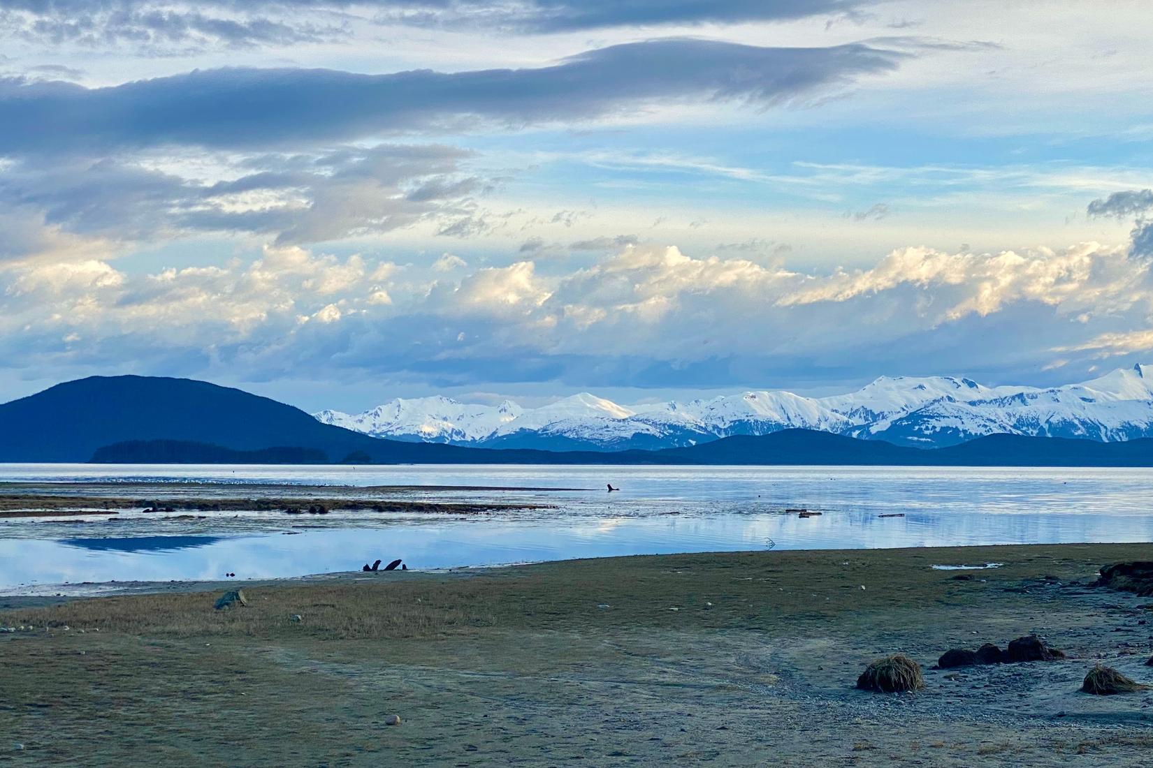 Sandee - Kenai Beach