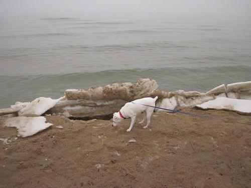 Sandee - Oscoda Beach Park