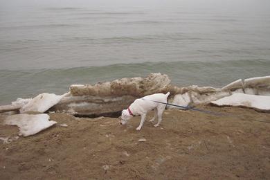 Sandee - Oscoda Beach Park