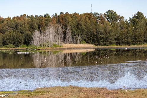 Sandee - HomePage / Bangor Charter Township