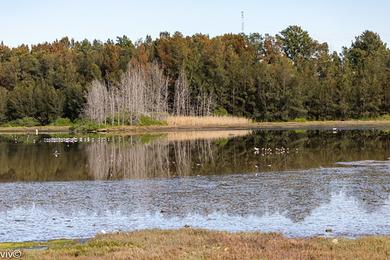 Sandee Bay City State Recreation Area Photo