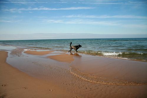 Sandee Kruse Park Dog Beach