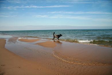 Sandee Kruse Park Dog Beach