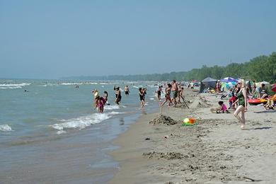 Sandee Long Point Beach