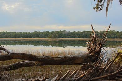 Sandee Skidaway Narrows