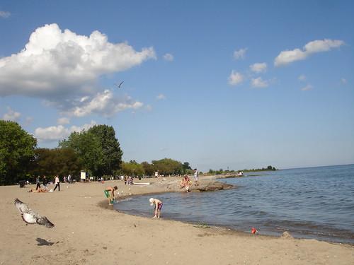 Sandee Woodbine Beach