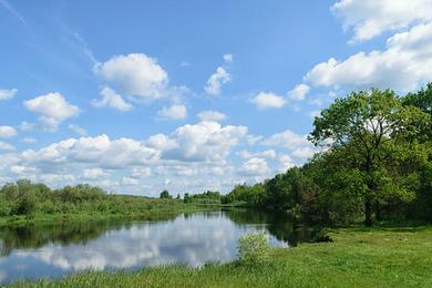 Sandee The Berezina River Photo